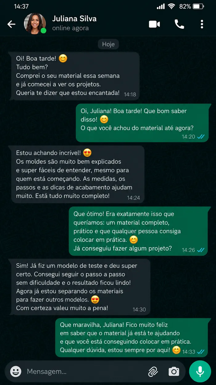 Exemplo ilustrativo de conversa no WhatsApp (simulação criada por IA)